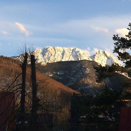 Dom Wypoczynkowy Jadzia Zakopane Exteriör bild