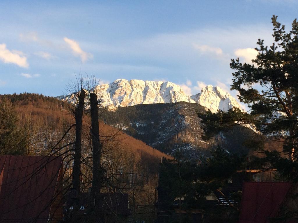 Dom Wypoczynkowy Jadzia Zakopane Exteriör bild