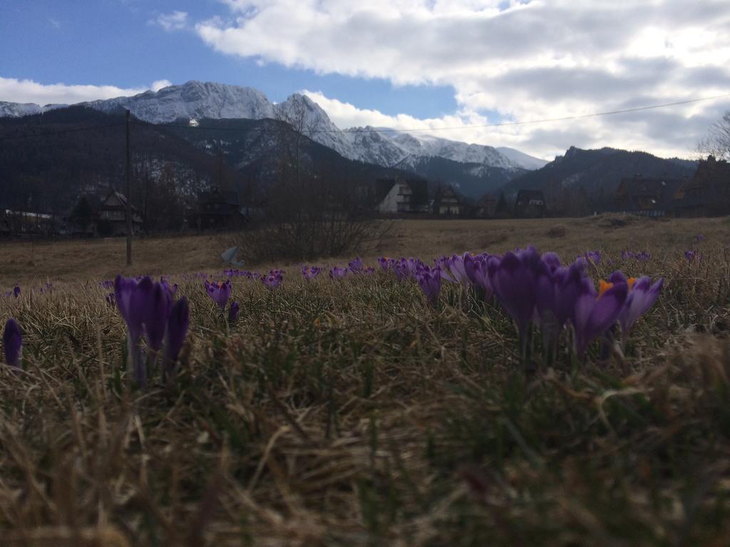 Dom Wypoczynkowy Jadzia Zakopane Exteriör bild