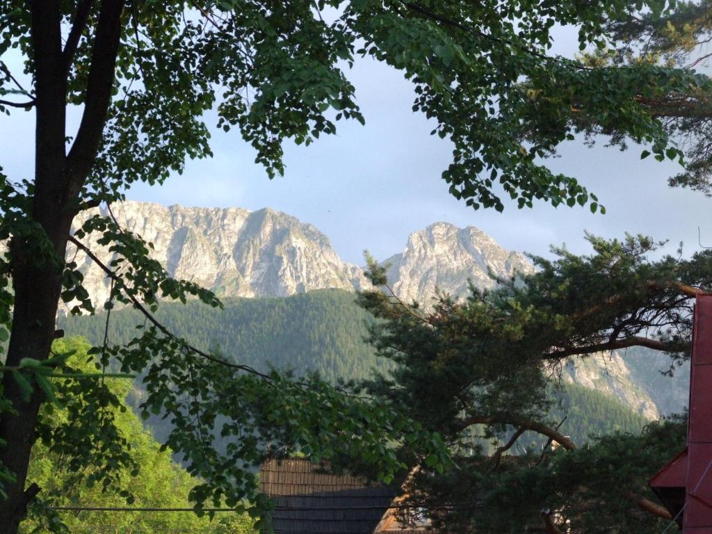 Dom Wypoczynkowy Jadzia Zakopane Exteriör bild